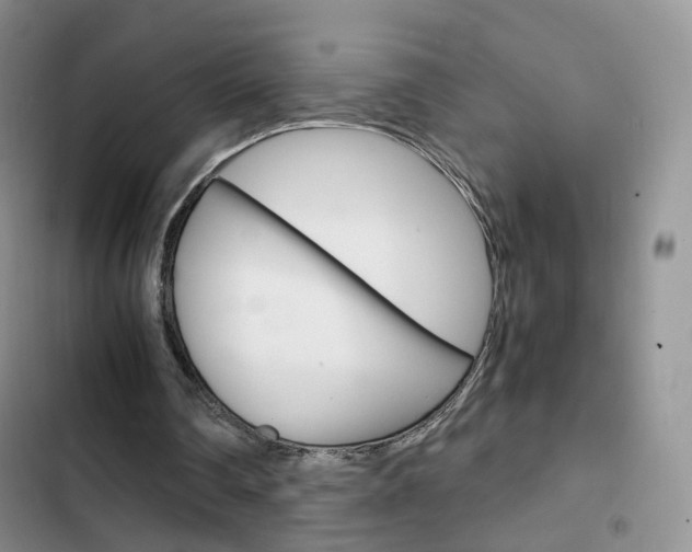 X0000103160290200808221159
