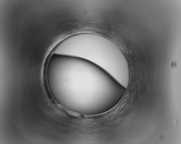 X0000103160292200808221159