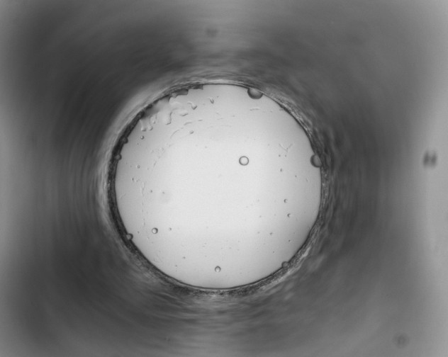 X0000103160293200808221159