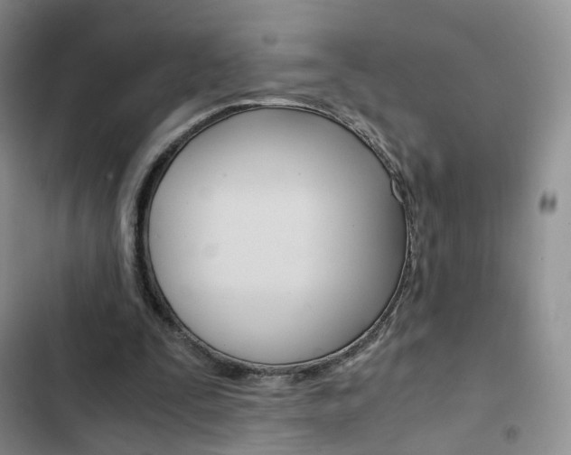 X0000103160295200808221159