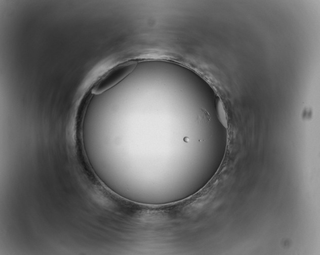 X0000103160296200808221159