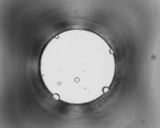 X0000103160297200808221159