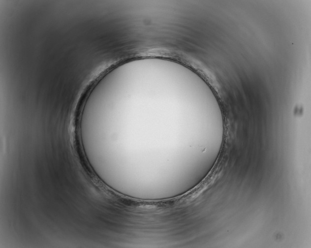X0000103160298200808221159