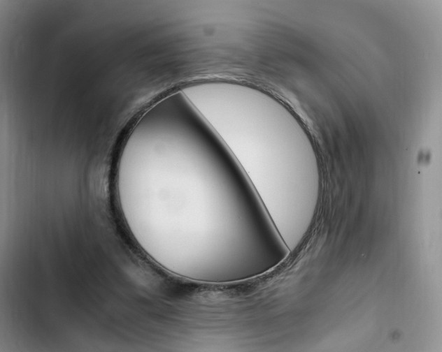 X0000103160299200808221159