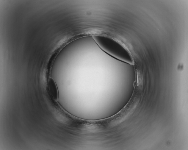 X0000103160300200808221158