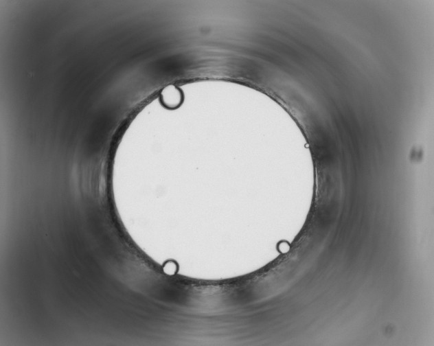 X0000103160301200808221158