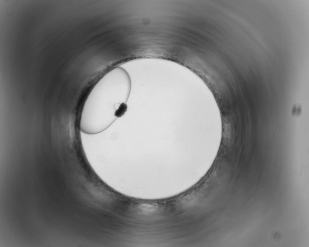 X0000103160302200808221158