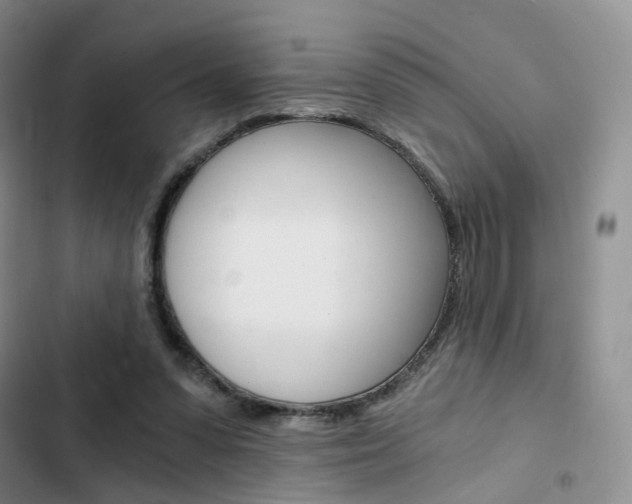 X0000103160303200808221158