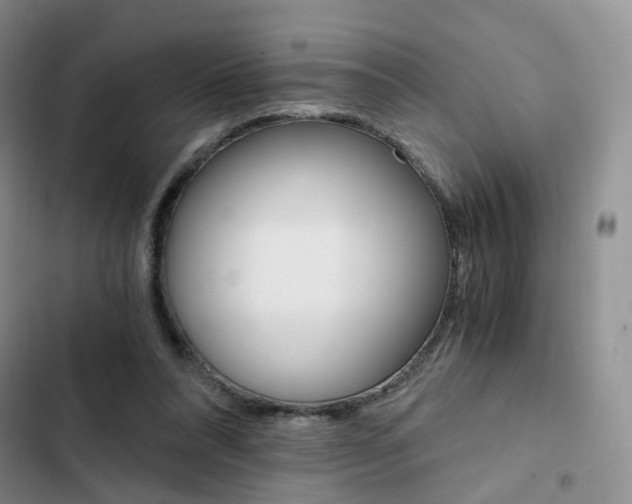X0000103160304200808221158
