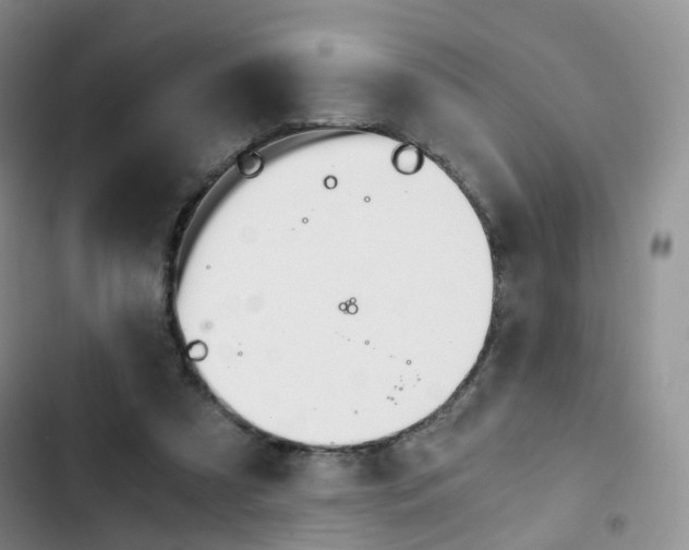 X0000103160305200808221158