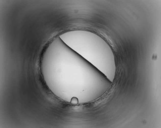 X0000103160306200808221158