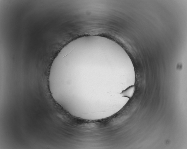 X0000103160307200808221158