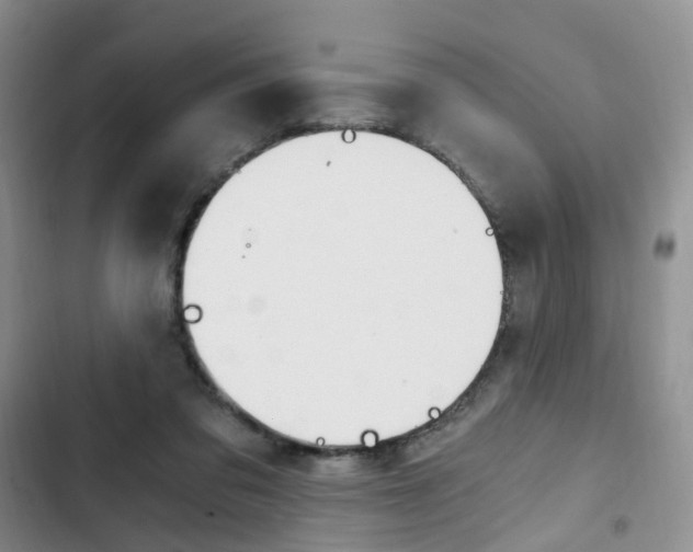 X0000103160309200808221158