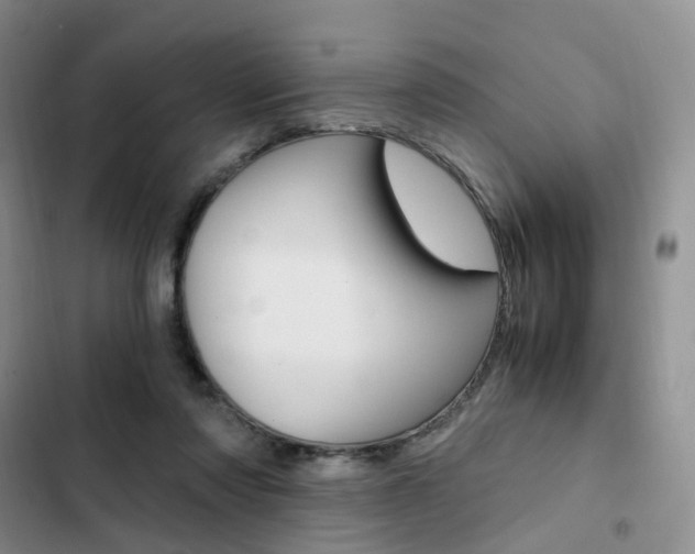 X0000103160310200808221158