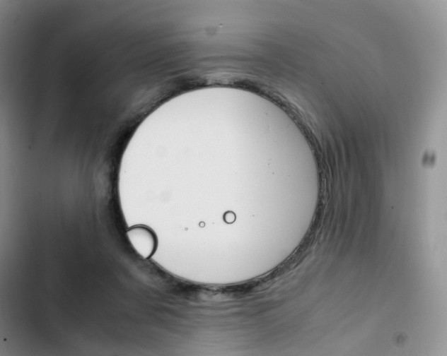 X0000103160311200808221158