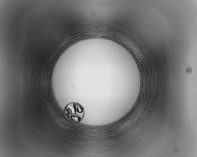 X0000103160312200808221158