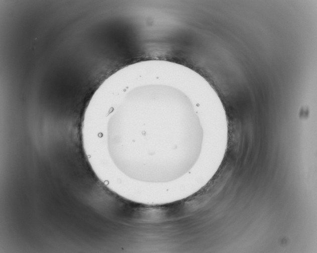 X0000103160313200808221158