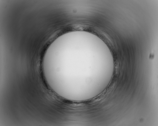 X0000103160314200808221158