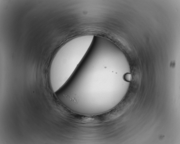 X0000103160315200808221158