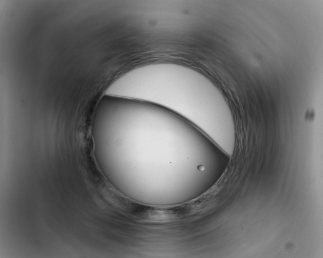X0000103160316200808221158
