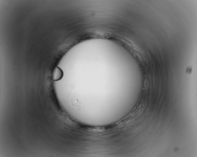 X0000103160318200808221158