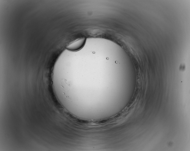 X0000103160319200808221158