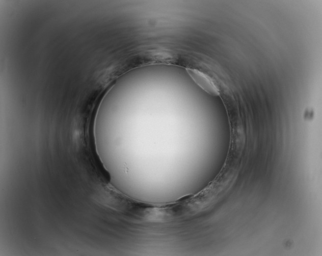 X0000103160320200808221158