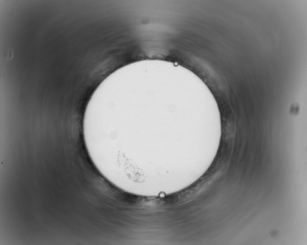 X0000103160321200808221158