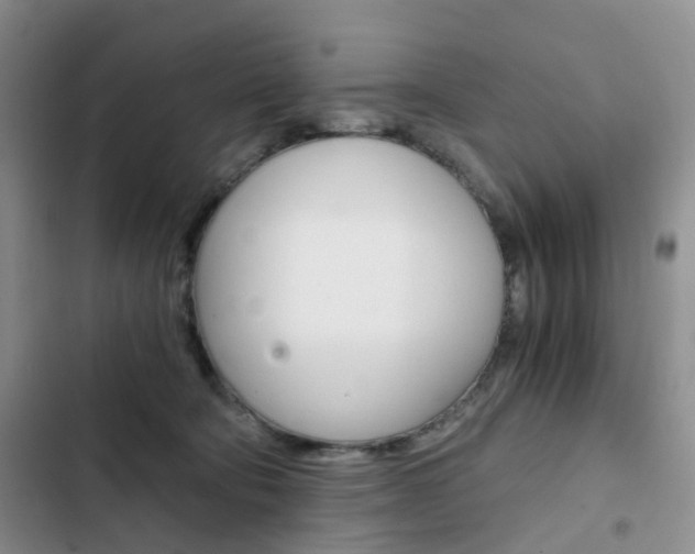 X0000103160322200808221158