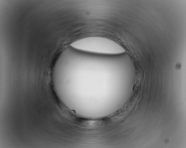 X0000103160323200808221158