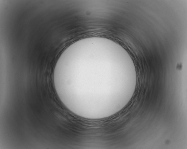 X0000103160324200808221158