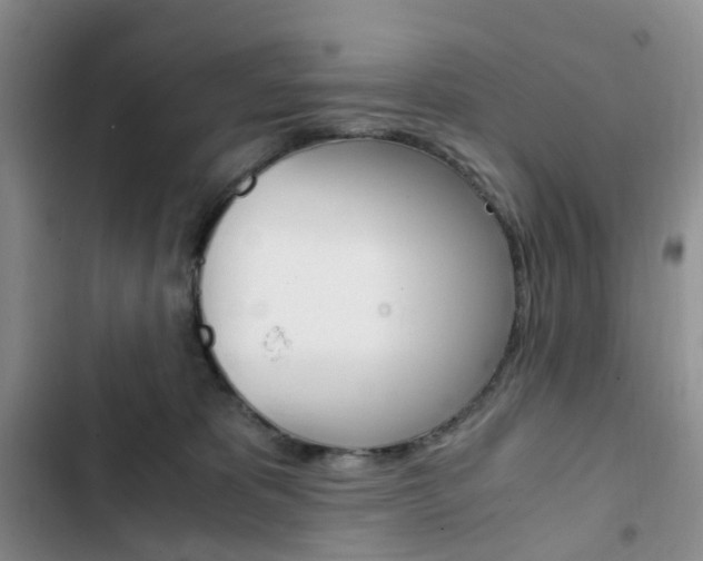 X0000103160325200808221158