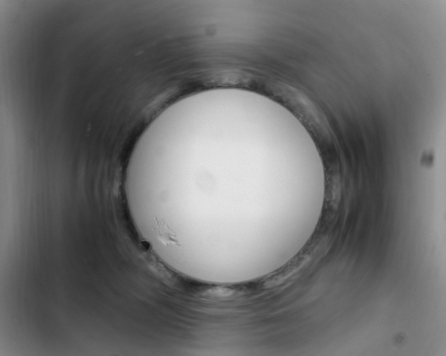 X0000103160326200808221158