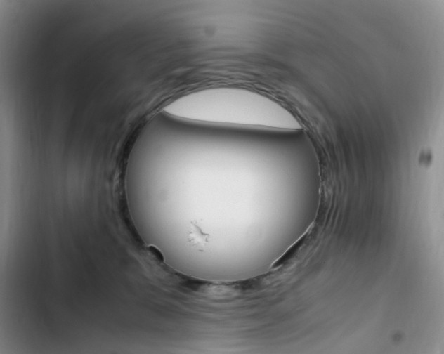 X0000103160327200808221158