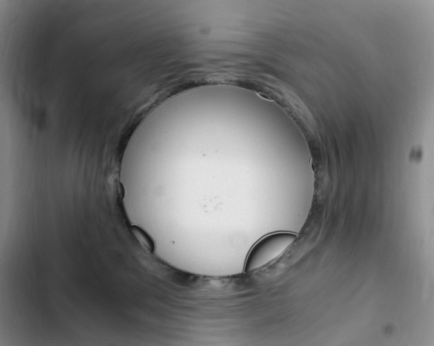 X0000103160329200808221158