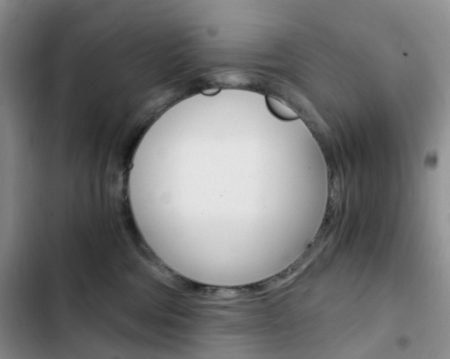 X0000103160330200808221158