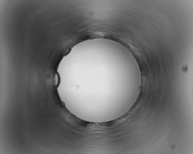 X0000103160331200808221158