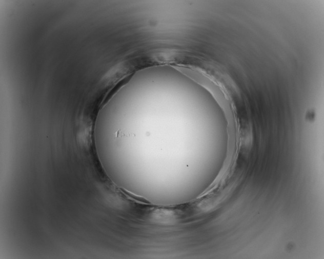 X0000103160332200808221158
