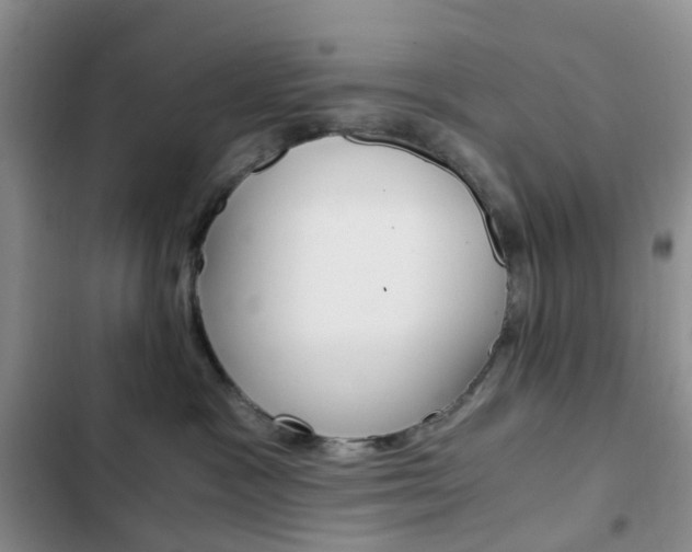 X0000103160333200808221158