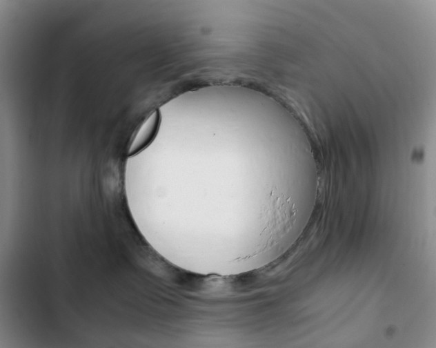 X0000103160335200808221158