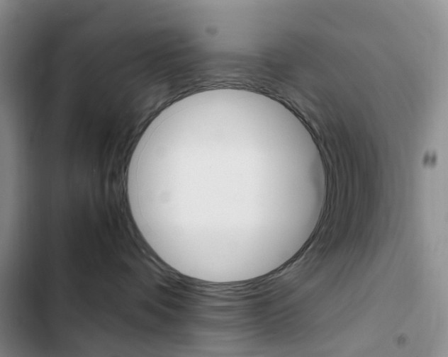 X0000103160336200808221158