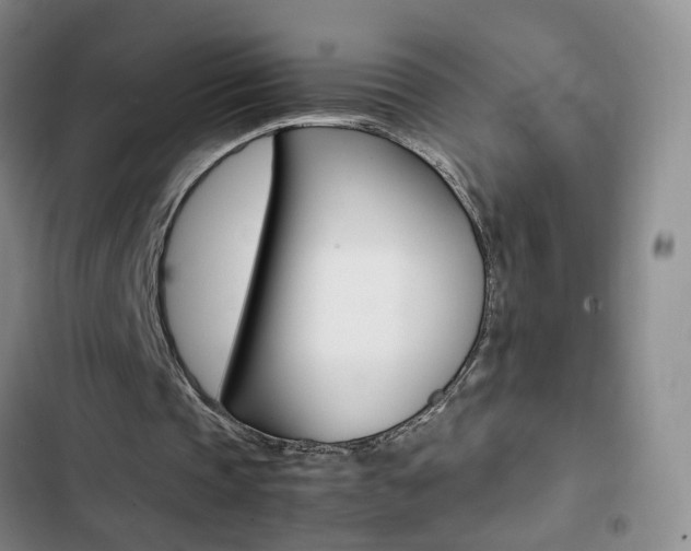 X0000103160337200808221157