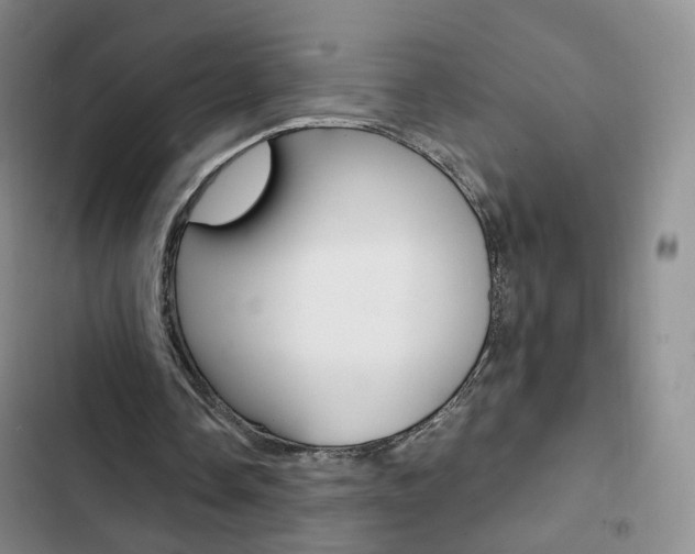 X0000103160338200808221157