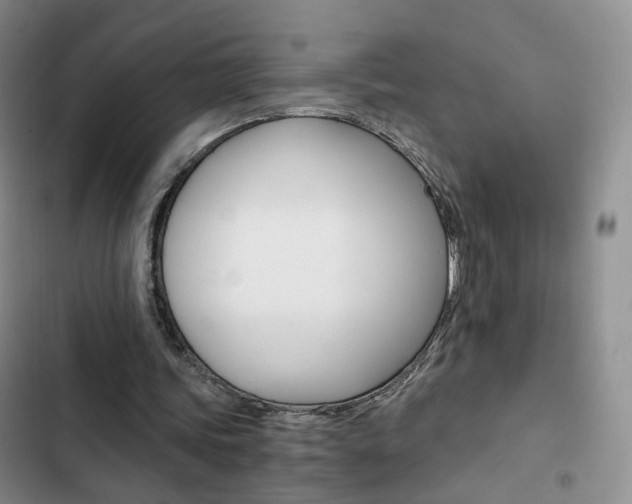 X0000103160339200808221157