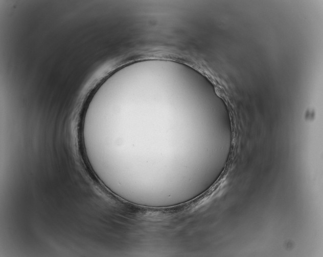 X0000103160341200808221157
