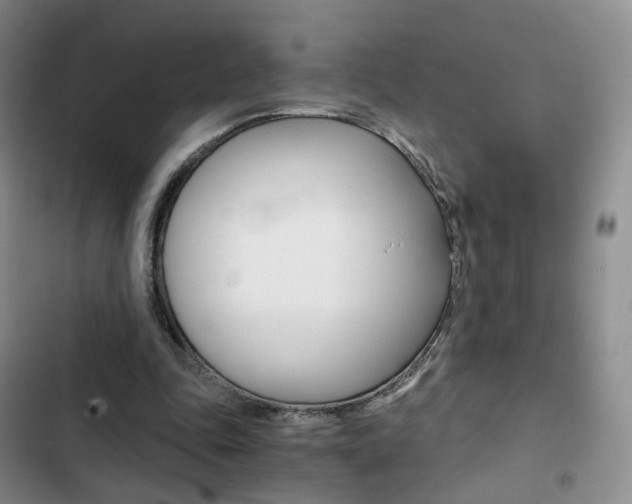 X0000103160343200808221157