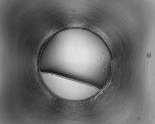 X0000103160345200808221157