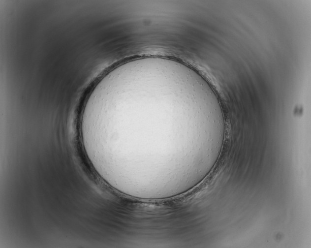 X0000103160347200808221157