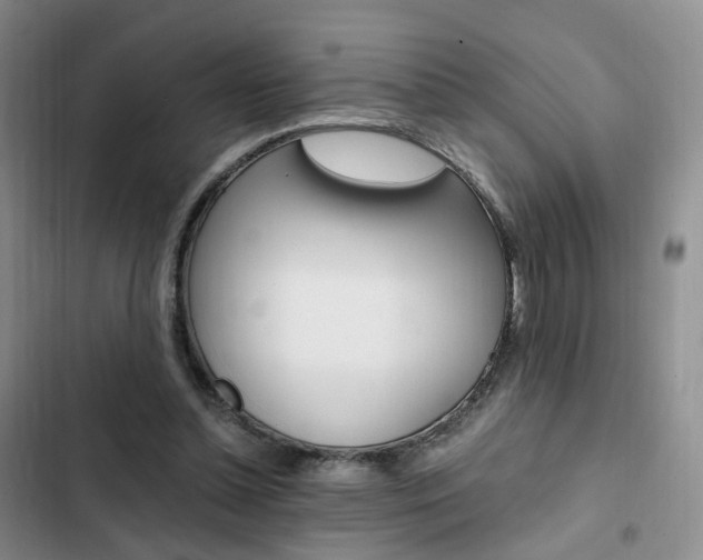 X0000103160348200808221157