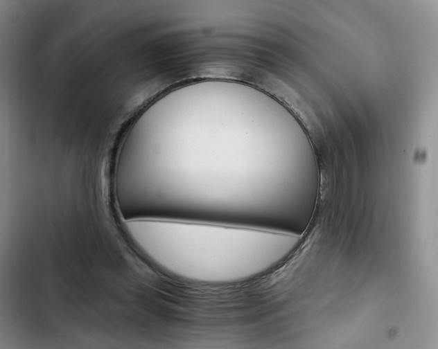 X0000103160349200808221157